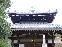 IMG 8687