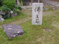 IMG 8689