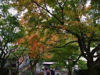 まだまだ色が無い！