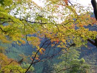 IMG 8701