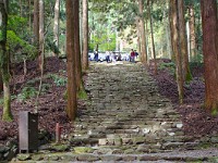 IMG 8713