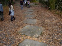良く運んだものですね
