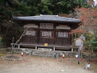IMG 8735