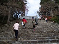 IMG 8737