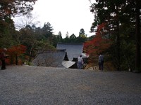 IMG 8738