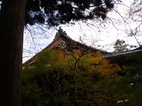 IMG 8740