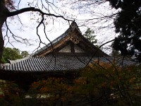 IMG 8741