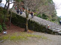 IMG 8753