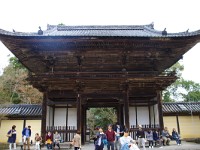 IMG 8755