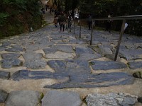 IMG 8757