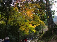 IMG 8761