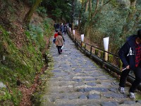 急な階段！