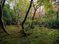 IMG 8785