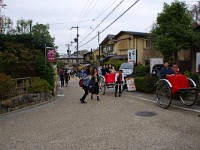 IMG 8788
