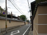 IMG 8797