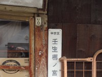 IMG 8798