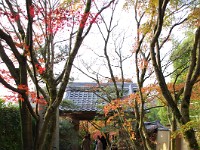 IMG 8810