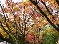 以下　光悦寺