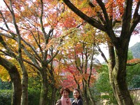 IMG 8817