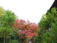 IMG 8825