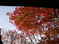 IMG 8827