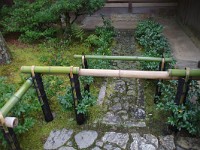 面白や