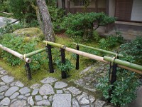 IMG 8830