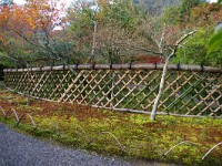 IMG 8834