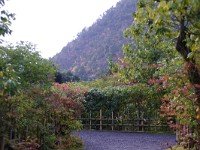 IMG 8839