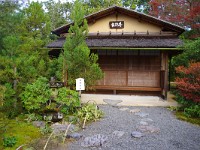IMG 8849