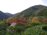 鷲ヶ峰の紅葉