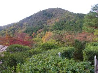 IMG 8853
