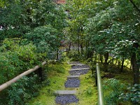 IMG 8856