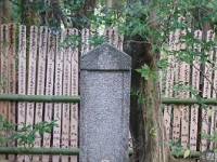 IMG 8857