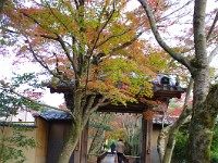 IMG 8863