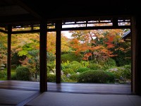 IMG 8871