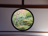 IMG 8872