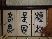 IMG 8875