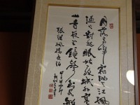 IMG 8877