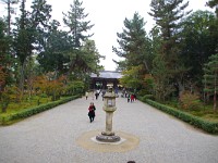 IMG 8886