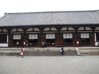 IMG 8887