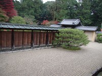 IMG 8891