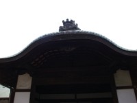 IMG 8893