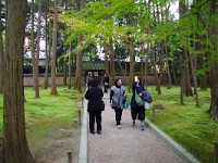 IMG 8894