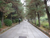 IMG 8899