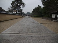IMG 8912