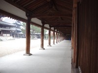 エンタシスの回廊
