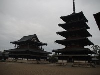 IMG 8918