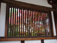 仄かな秋・・・見付けた！