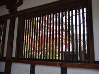 IMG 8926